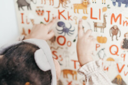 Montessori e.V. Feuerbach